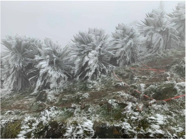  Dự b&aacute;o thời tiết 4/2: Miền Bắc đ&oacute;n kh&ocirc;ng kh&iacute; lạnh dồn dập, trời r&eacute;t đậm k&egrave;m sương m&ugrave; bao phủ - Ảnh 1.