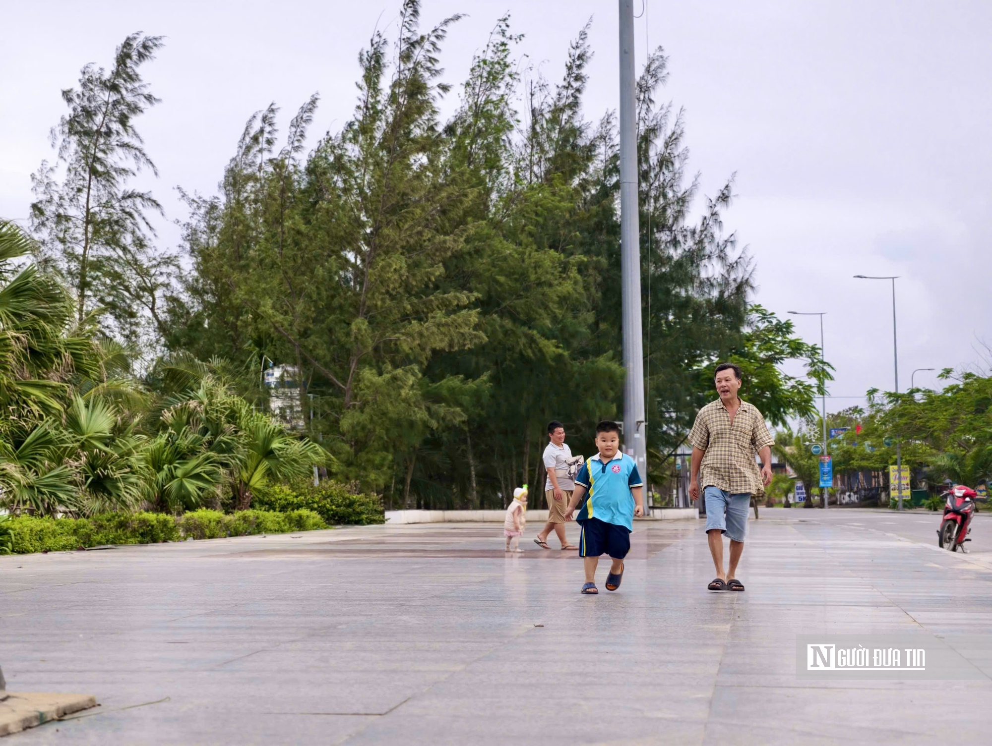 Bờ biển đẹp nhất Quảng Ngãi sắp có phố đi bộ kết hợp dịch vụ, ẩm thực đêm dịp Tết- Ảnh 4.