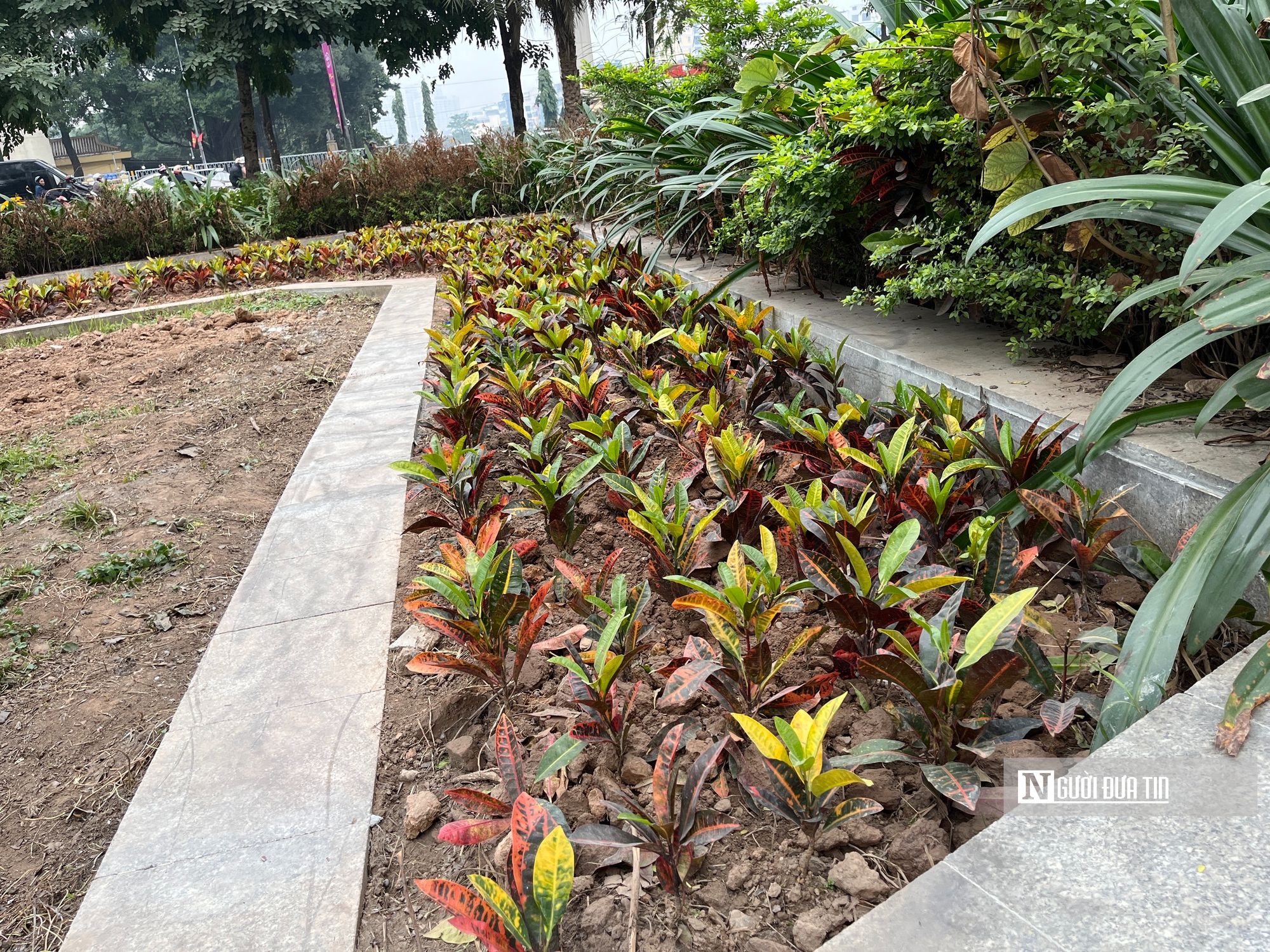 Sau phản ánh xuống cấp, công viên hồ điều hòa Mai Dịch khoác diện mạo mới- Ảnh 10.