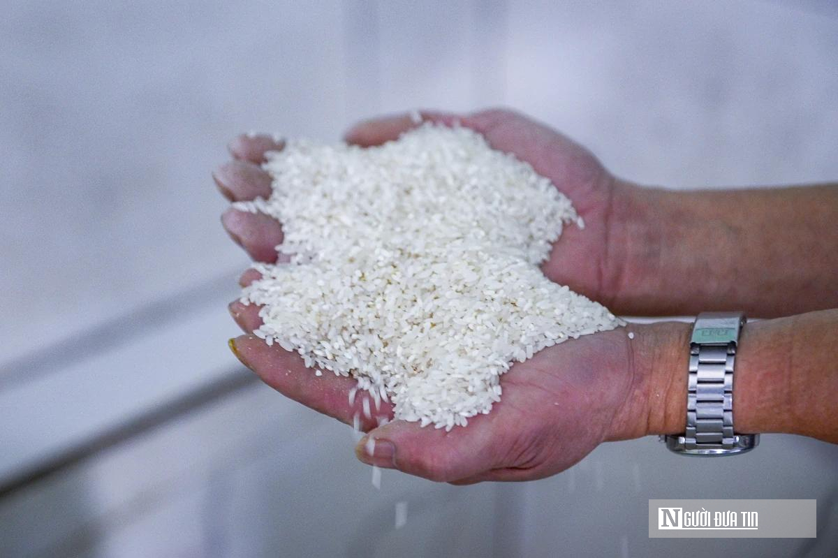 L&agrave;ng miến lớn nhất Thanh H&oacute;a thu về h&agrave;ng chục tỷ đồng mỗi năm- Ảnh 2.