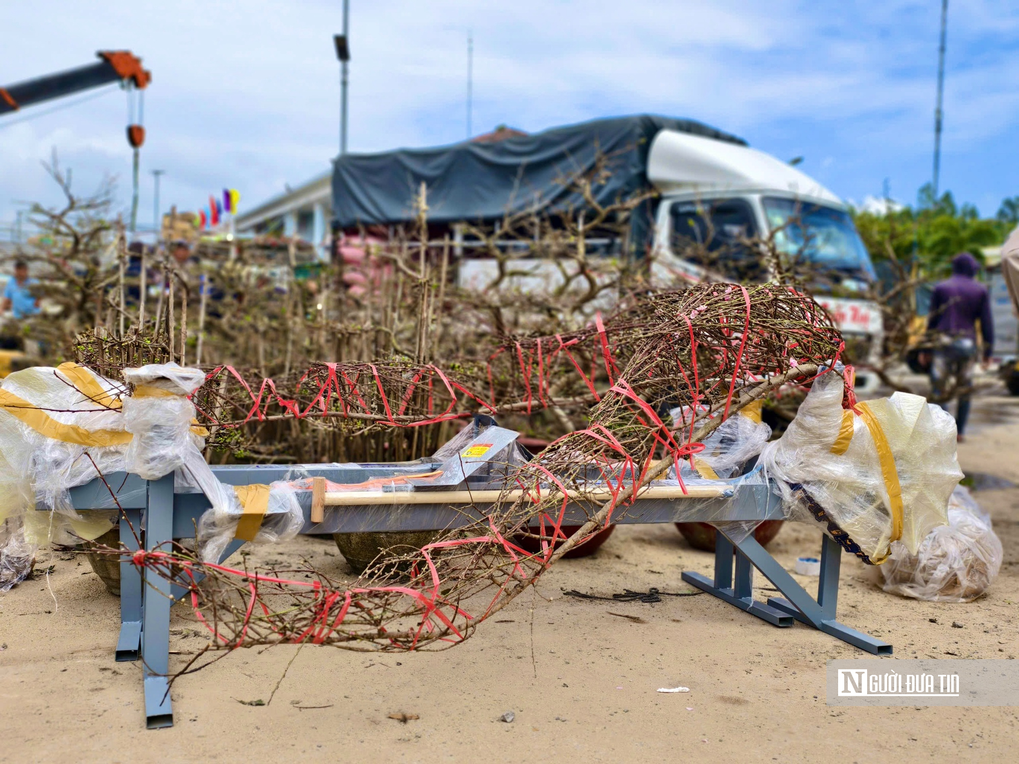 Quảng Ngãi: Tàu thuyền hối hả chở Tết ra đảo tiền tiêu Lý Sơn- Ảnh 4.