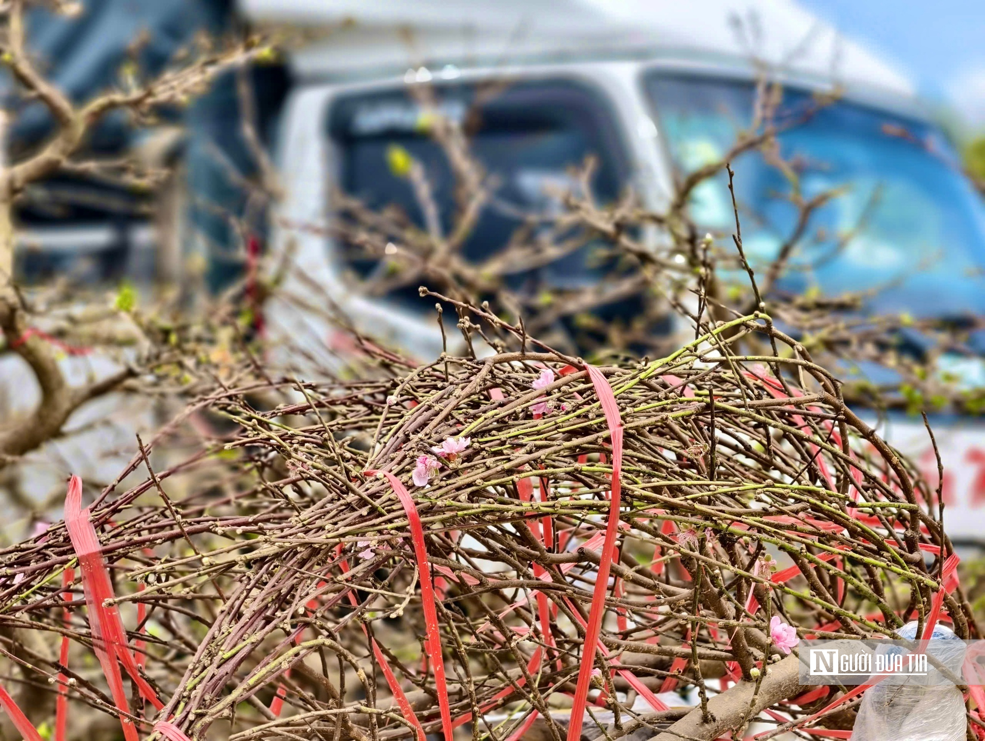 Quảng Ngãi: Tàu thuyền hối hả chở Tết ra đảo tiền tiêu Lý Sơn- Ảnh 5.