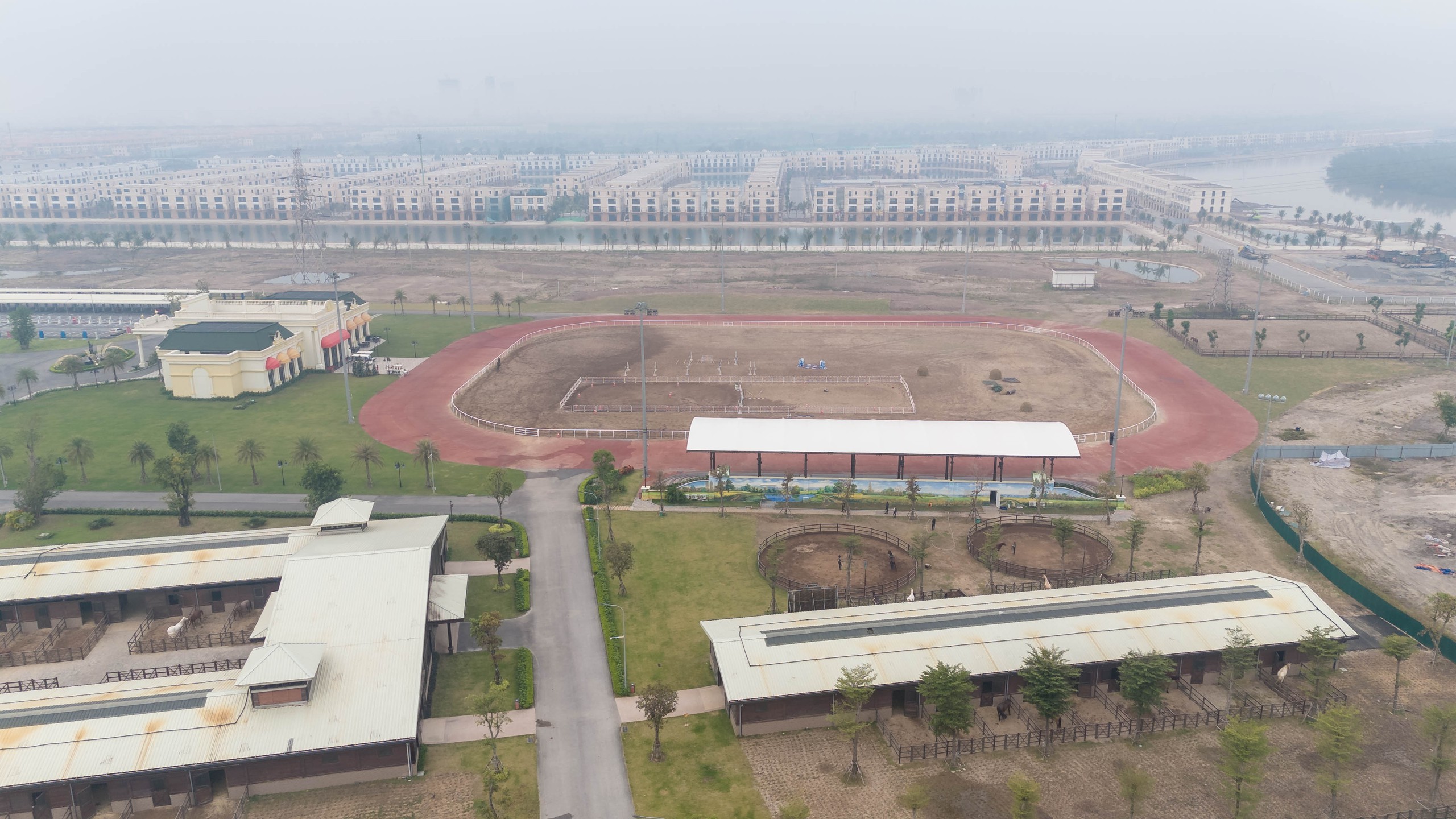 Cận cảnh chế độ chăm sóc đặc biệt "tuấn mã" triệu đô tại Hải Phòng- Ảnh 2.