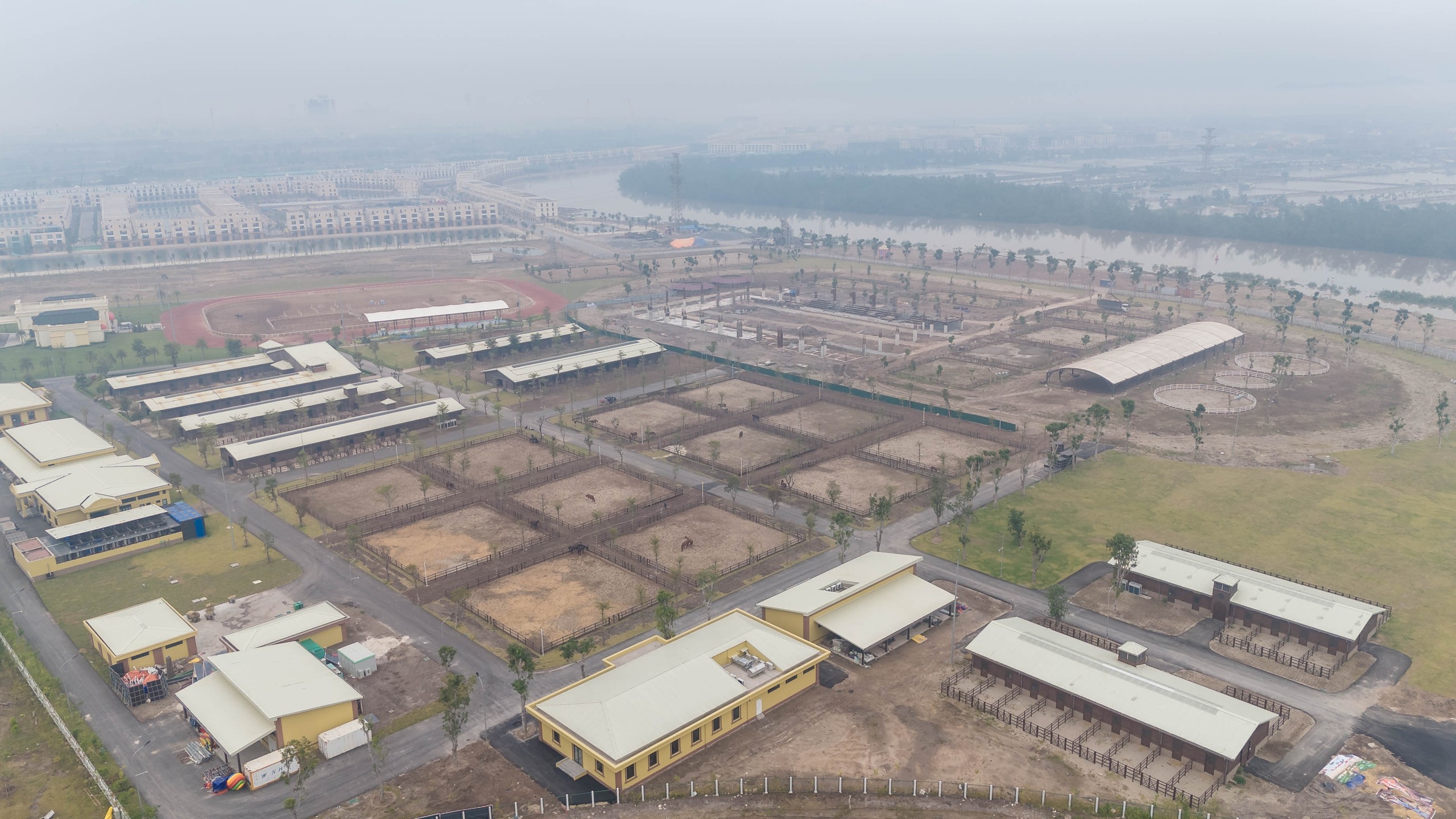 Cận cảnh chế độ chăm sóc đặc biệt "tuấn mã" triệu đô tại Hải Phòng- Ảnh 1.