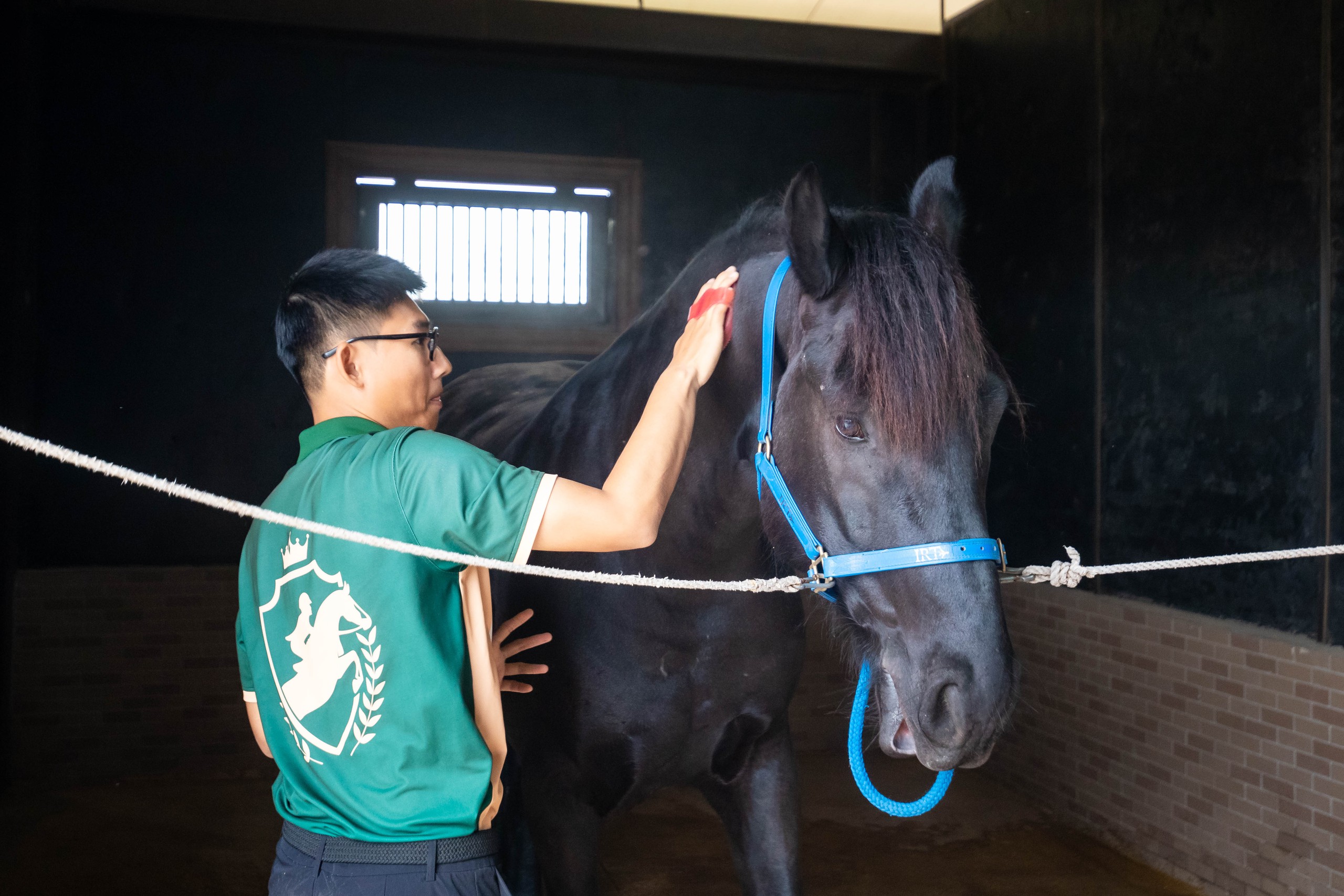 Cận cảnh chế độ chăm sóc đặc biệt "tuấn mã" triệu đô tại Hải Phòng- Ảnh 9.