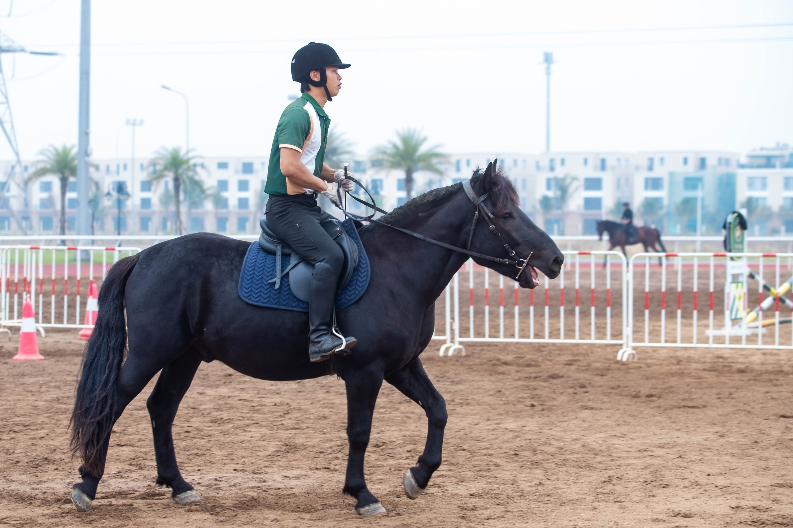 Cận cảnh chế độ chăm sóc đặc biệt "tuấn mã" triệu đô tại Hải Phòng- Ảnh 15.