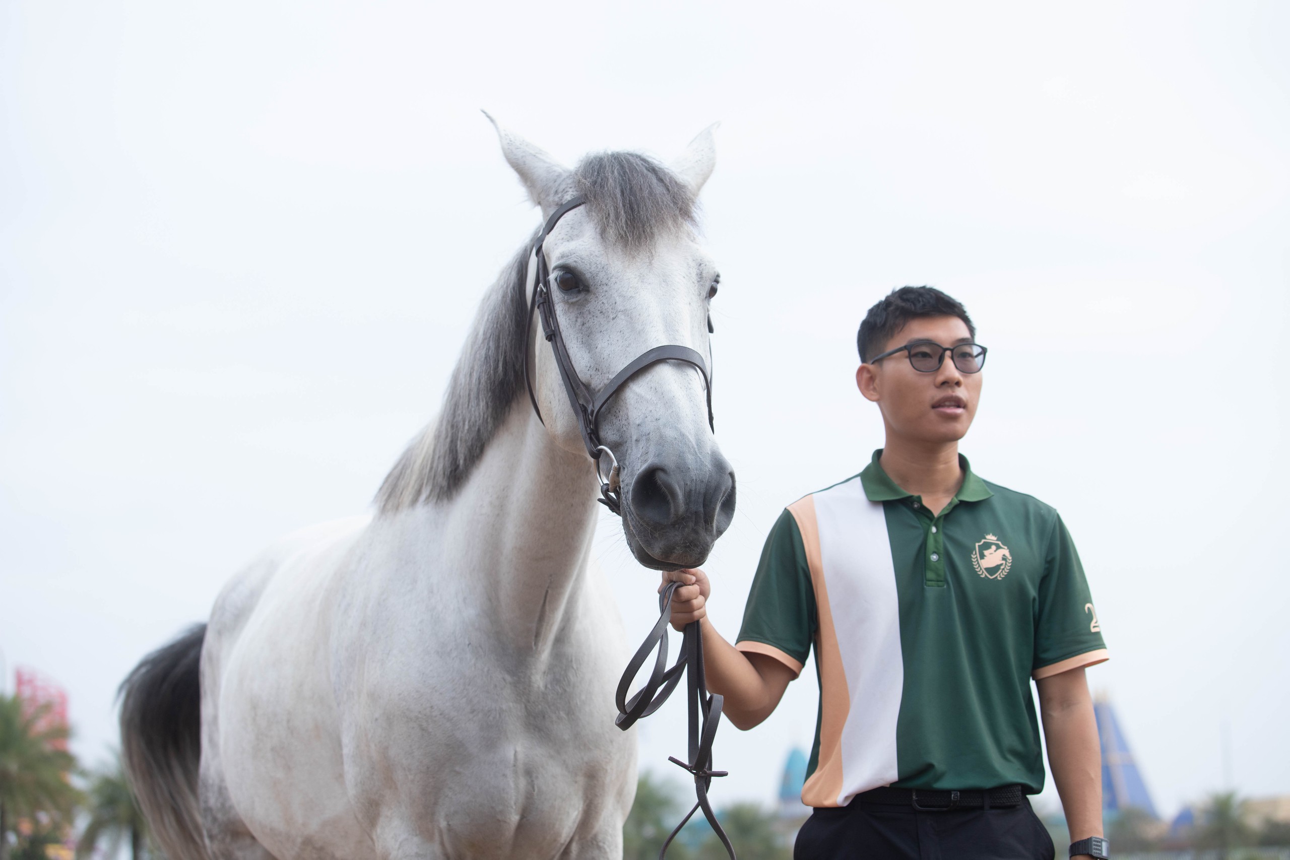 Cận cảnh chế độ chăm sóc đặc biệt "tuấn mã" triệu đô tại Hải Phòng- Ảnh 14.