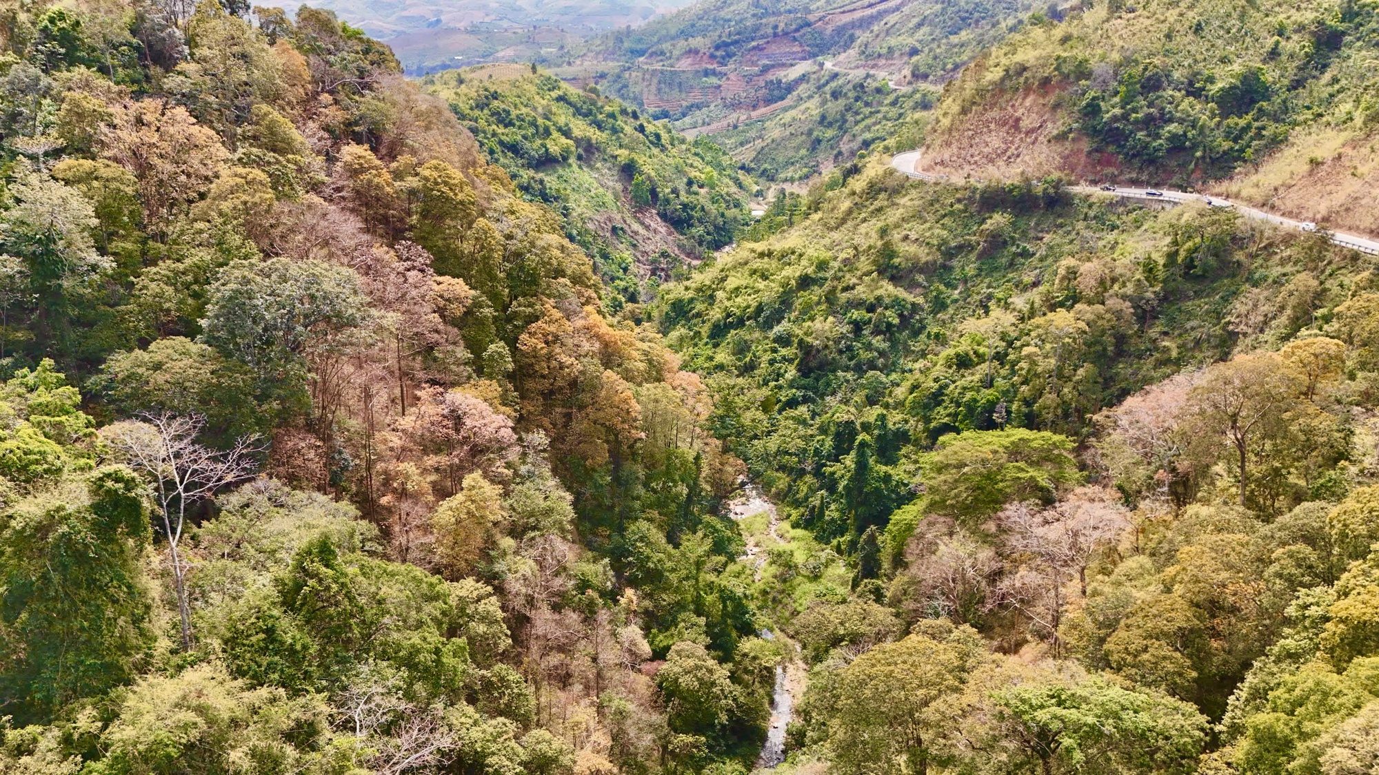 Đẹp ngỡ ngàng rừng tự nhiên thay lá nhuộm sắc đèo Măng Đen- Ảnh 4.