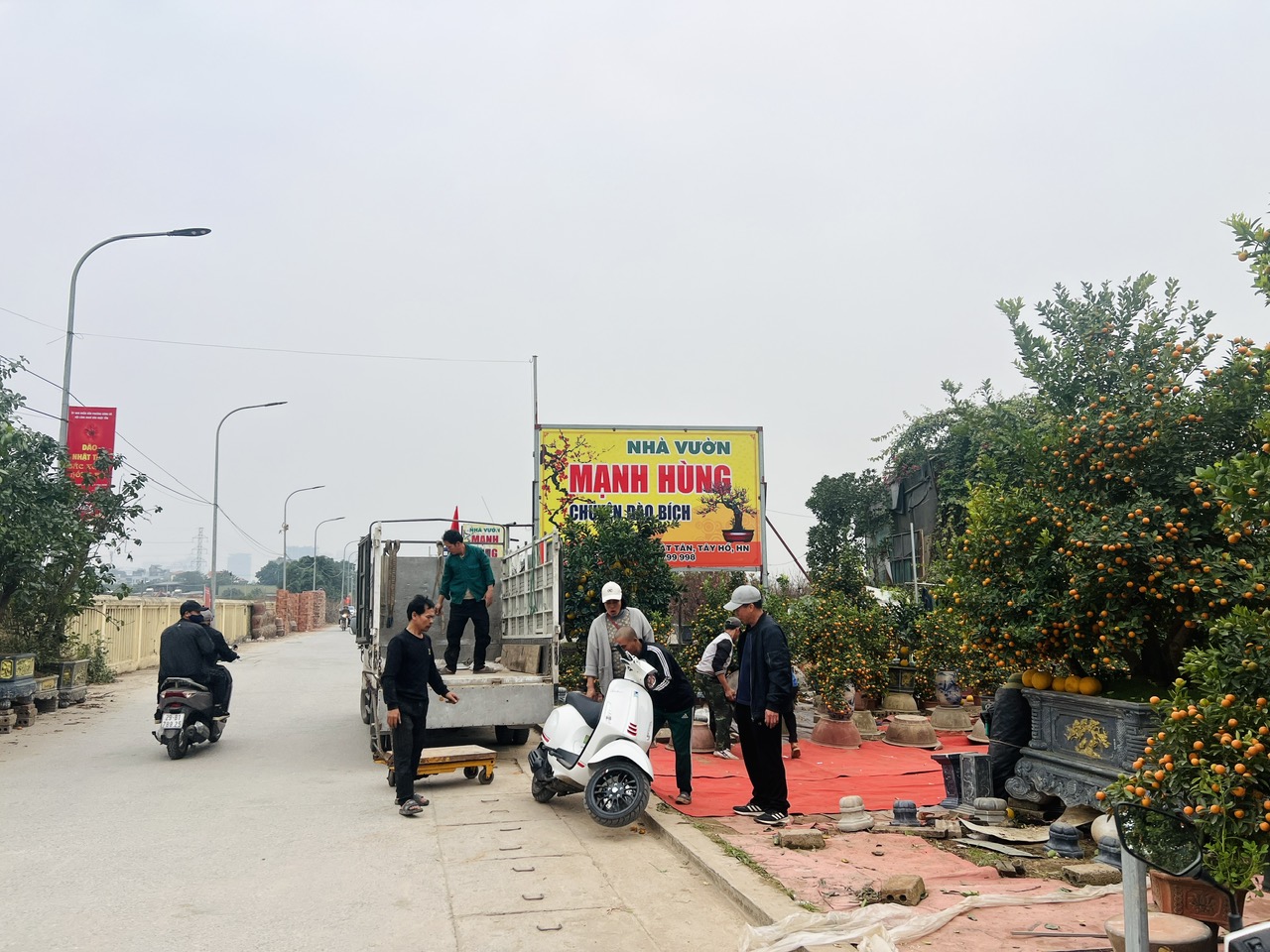Làng đào, làng quất vào vụ lớn dịp giáp Tết: Rộn ràng đón khách từ vườn ra phố - Ảnh 8.