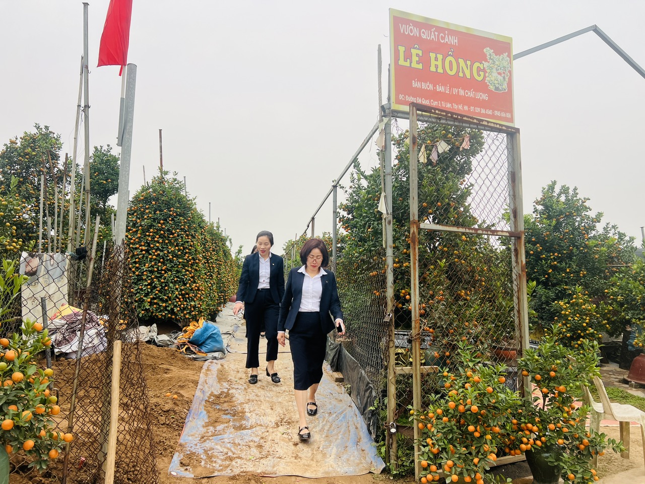 Làng đào, làng quất vào vụ lớn dịp giáp Tết: Rộn ràng đón khách từ vườn ra phố - Ảnh 10.