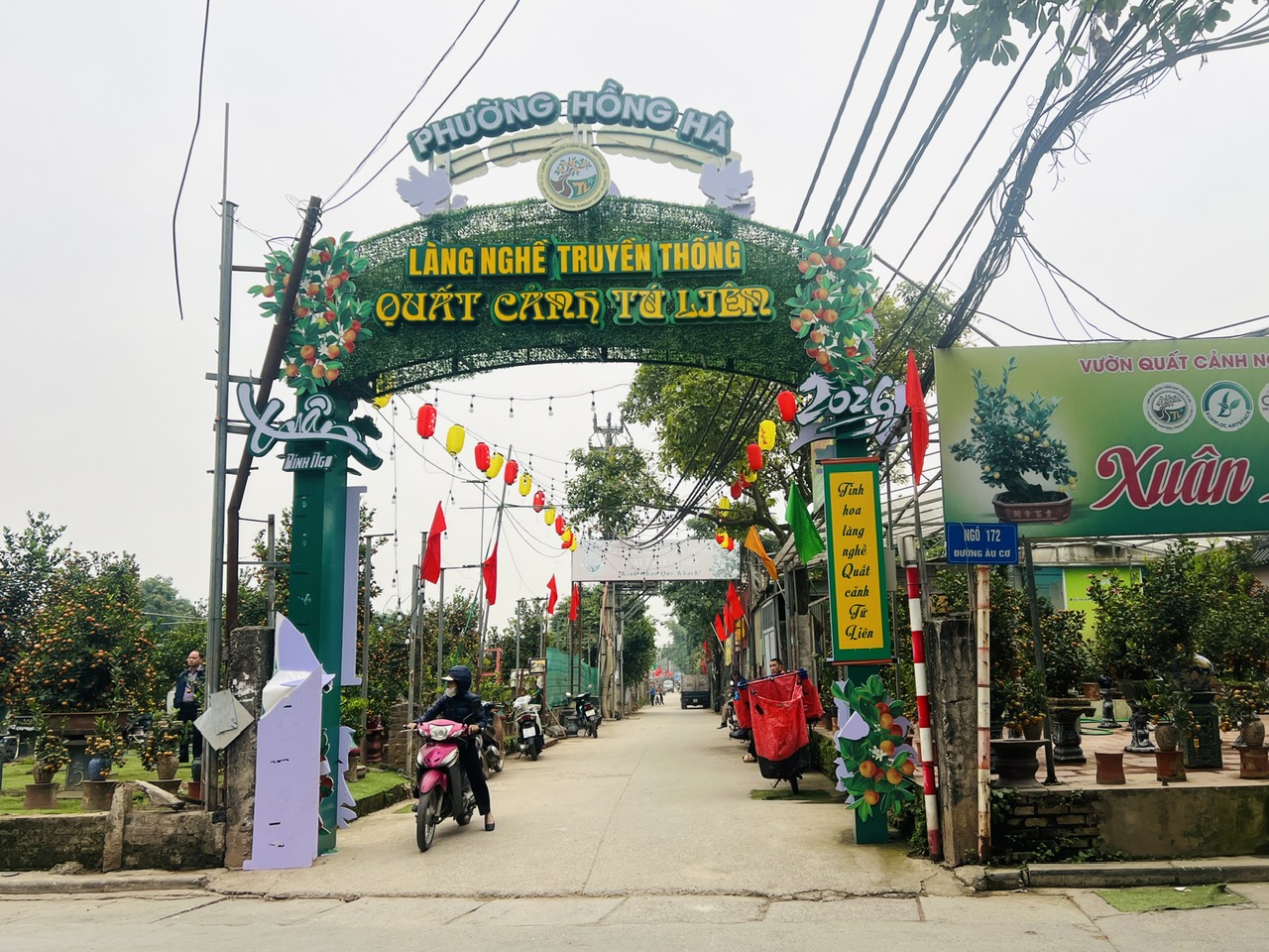 Làng đào, làng quất vào vụ lớn dịp giáp Tết: Rộn ràng đón khách từ vườn ra phố - Ảnh 7.