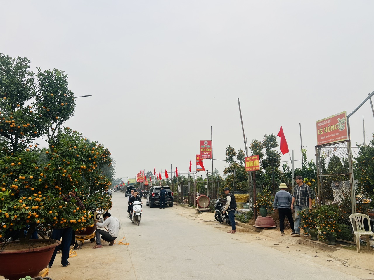 Làng đào, làng quất vào vụ lớn dịp giáp Tết: Rộn ràng đón khách từ vườn ra phố - Ảnh 21.