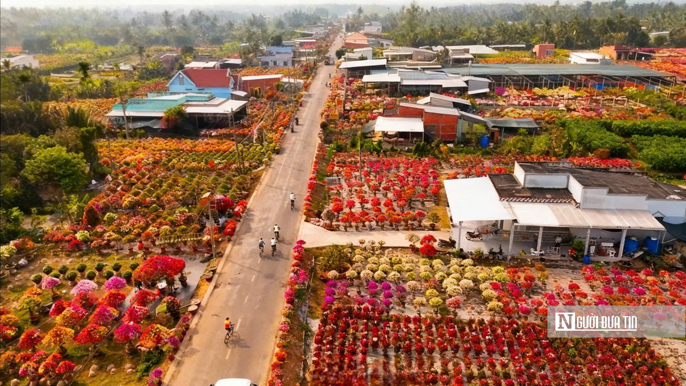 Làng hoa giấy Phú Sơn rực rỡ sắc xuân bên dòng Cái Lách- Ảnh 4.
