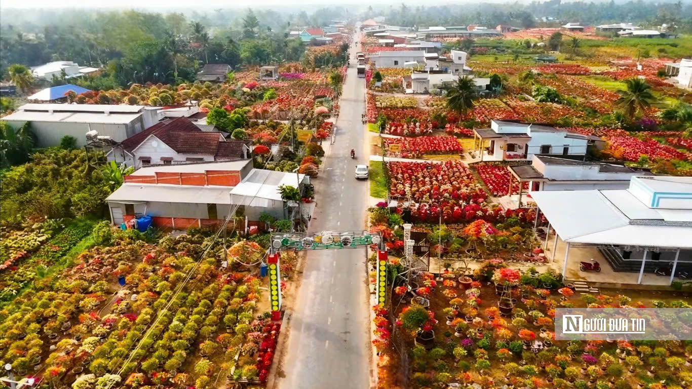 Làng hoa giấy Phú Sơn rực rỡ sắc xuân bên dòng Cái Lách- Ảnh 1.