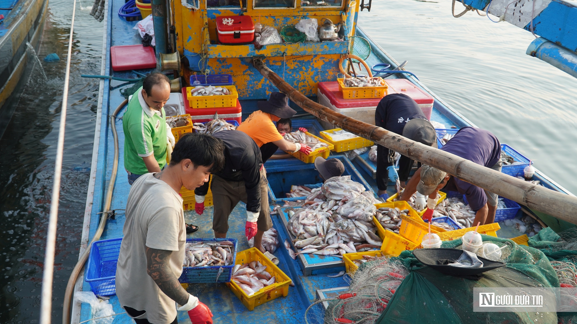 Ngư trường lớn vào mùa cao điểm, cảng cá Phan Thiết sôi động cận Tết - Ảnh 2.