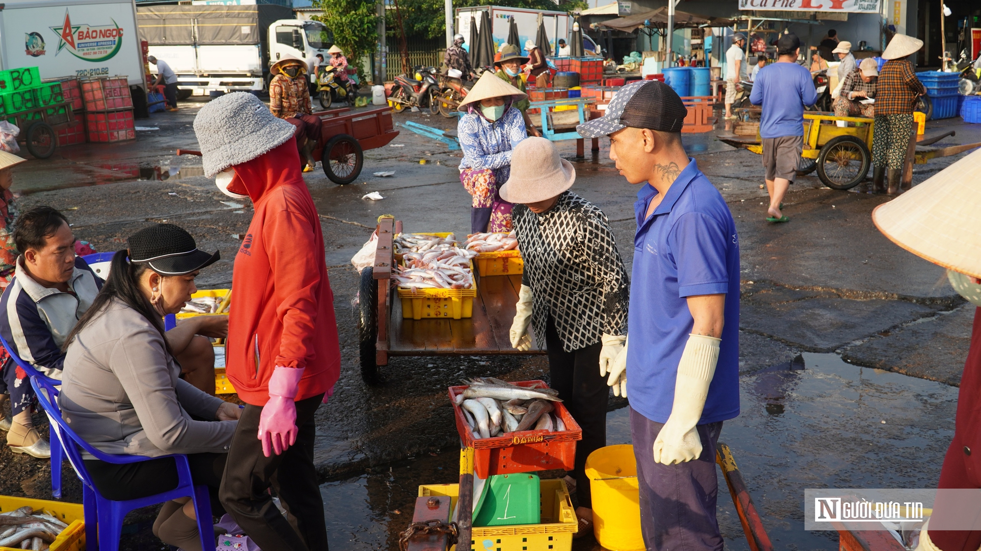 Ngư trường lớn vào mùa cao điểm, cảng cá Phan Thiết sôi động cận Tết - Ảnh 5.