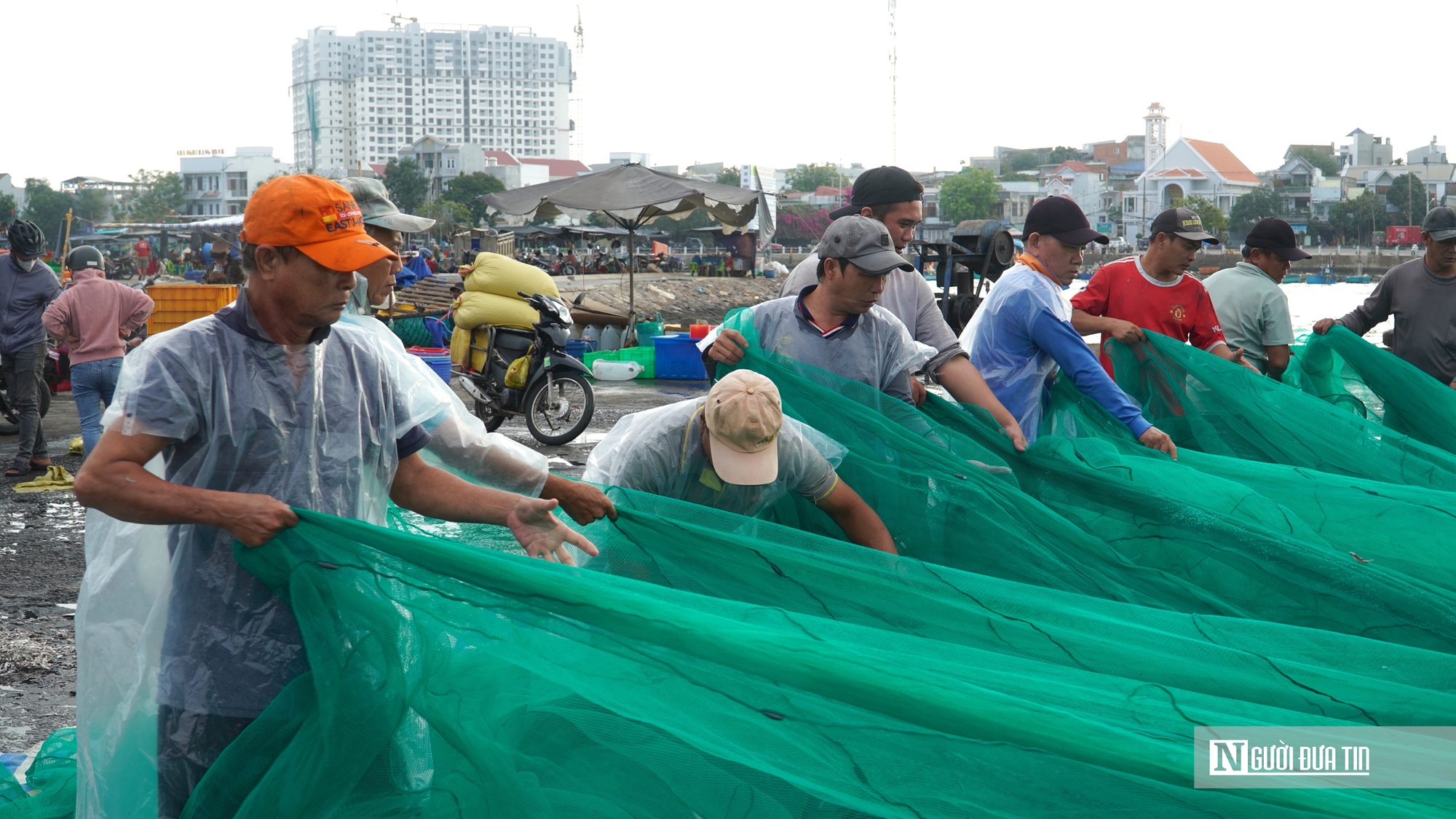 Ngư trường lớn vào mùa cao điểm, cảng cá Phan Thiết sôi động cận Tết - Ảnh 10.