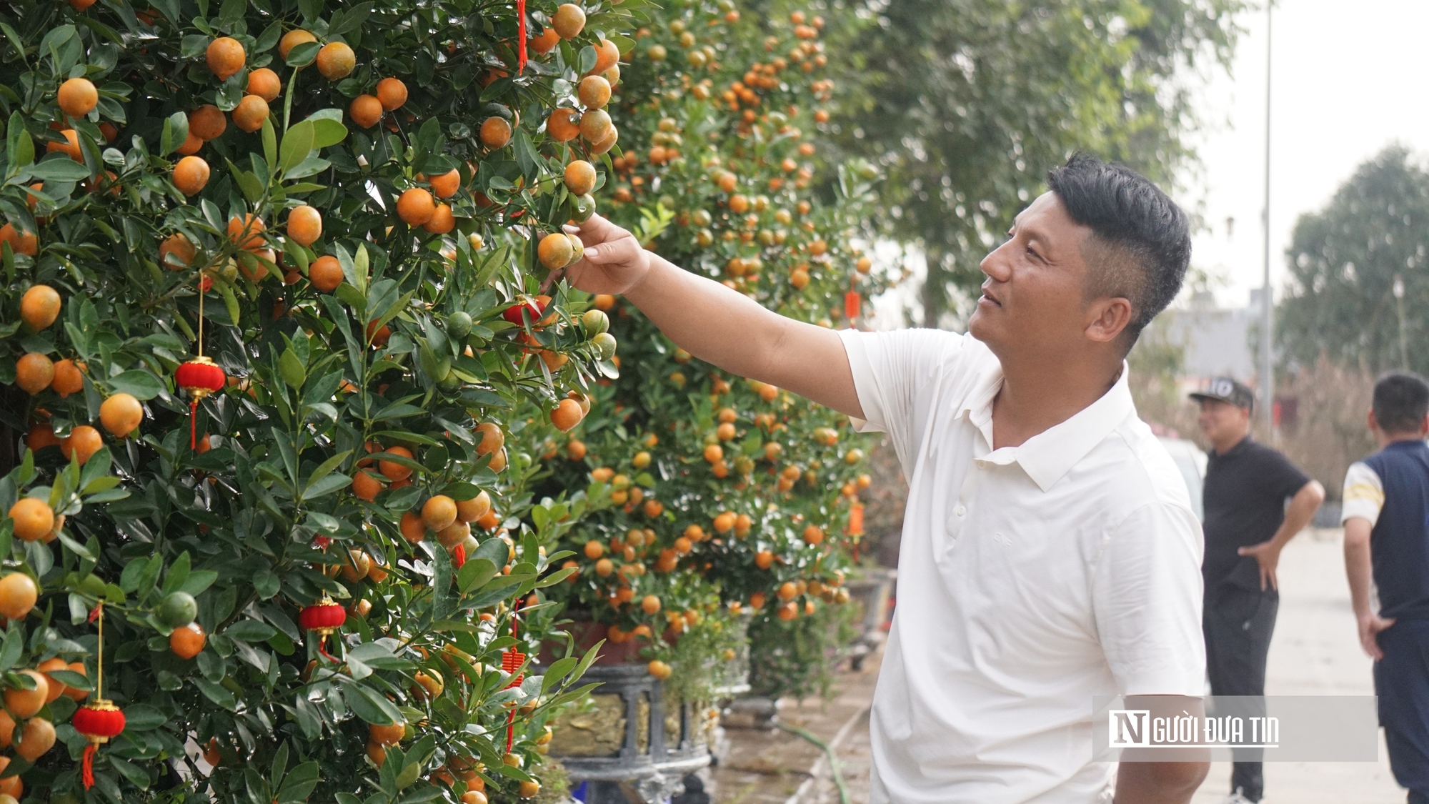 Gi&aacute; thu&ecirc; h&egrave; phố b&aacute;n c&acirc;y cảnh ở Hạc Th&agrave;nh tăng gấp 3 lần, tiểu thương lo lỗ vốn- Ảnh 7.