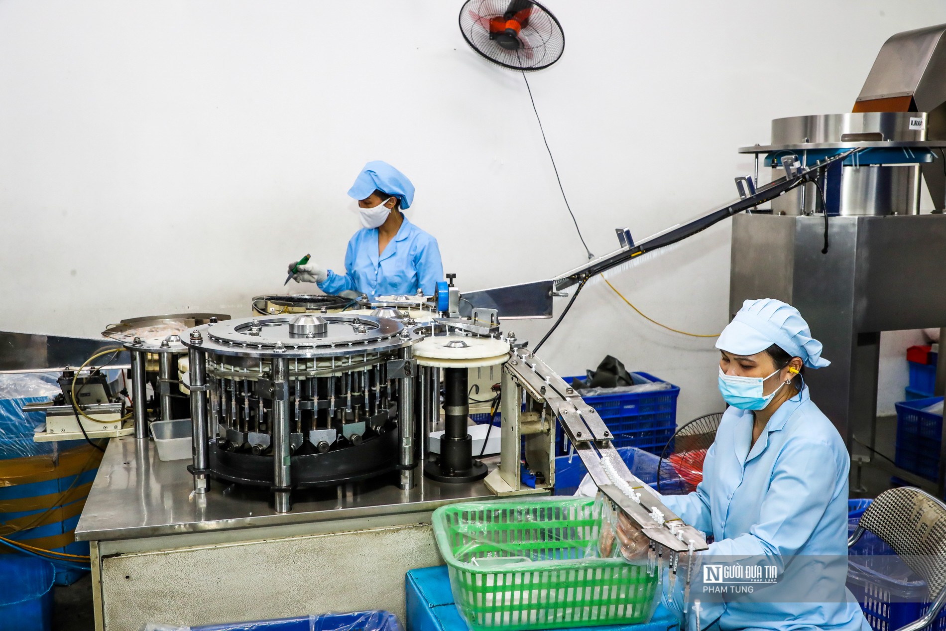 Tháng 1/2026 có gần 49.000 doanh nghiệp gia nhập thị trường, thu NSNN hơn 370.000 tỷ đồng - Ảnh 1.