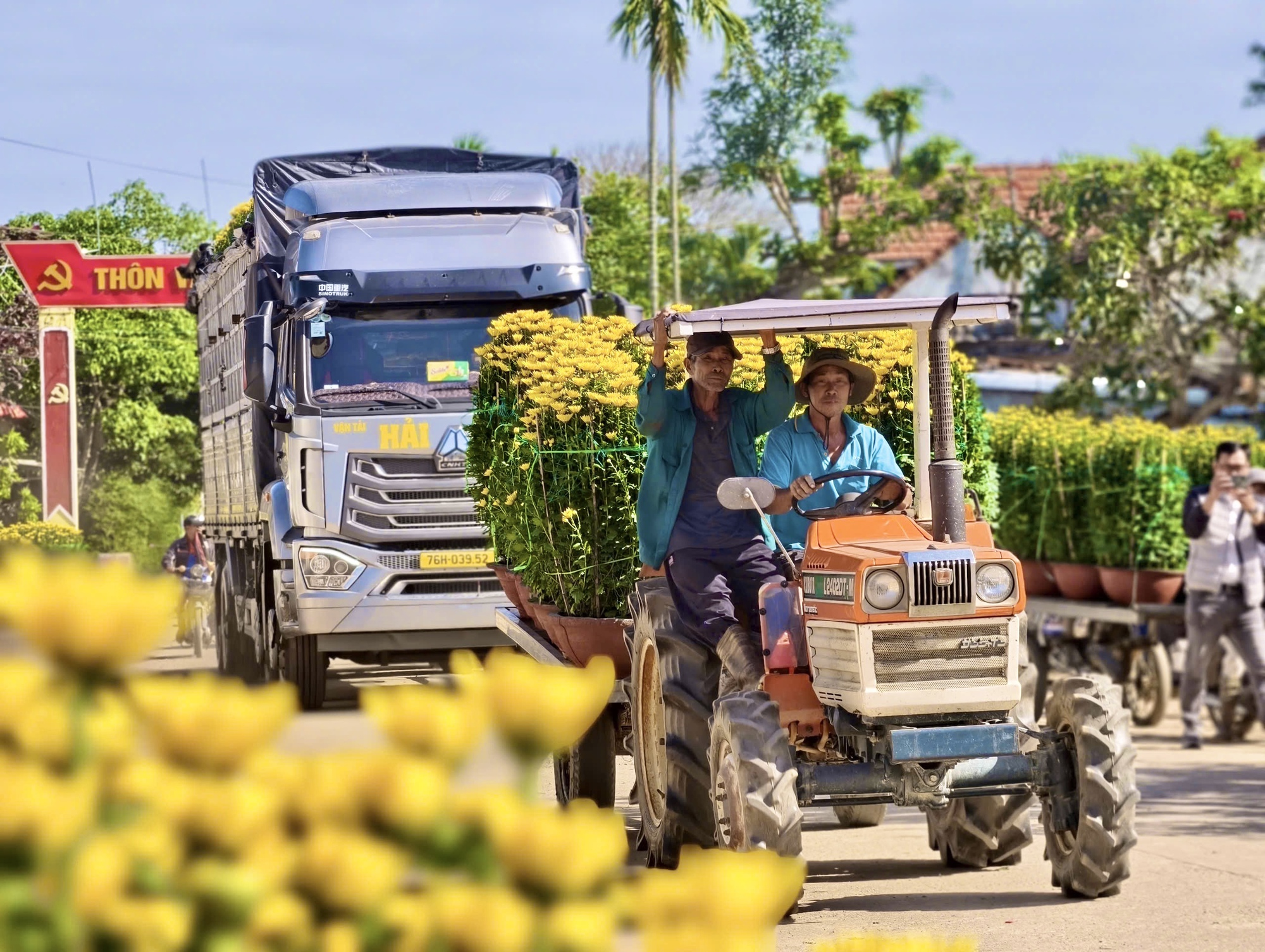 Hoa cúc “nhuộm vàng” làng quê những ngày giáp Tết- Ảnh 11.