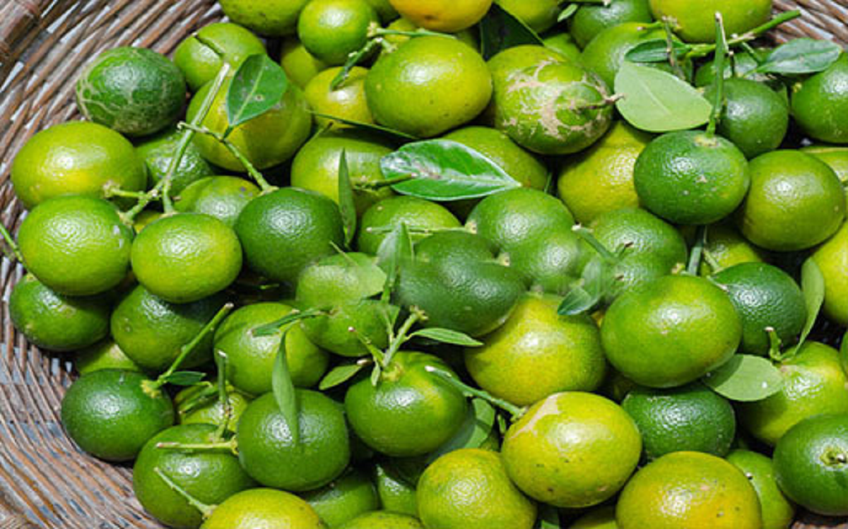 Loại quả là “báu vật" ngày Tết, đi chợ thấy bỏ qua quá phí - Ảnh 1.