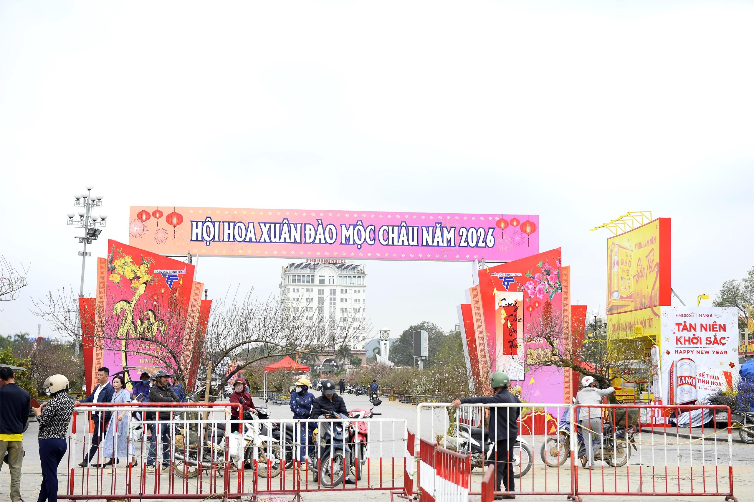 Chợ hoa đào rực rỡ sắc màu, có cây giá thuê lên tới 100 triệu đồng- Ảnh 1.