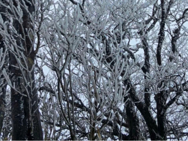 Dự báo thời tiết 10/2: Miền Bắc dồn dập đón đợt không khí lạnh mạnh, dự báo nơi rét đậm nhất - Ảnh 1.