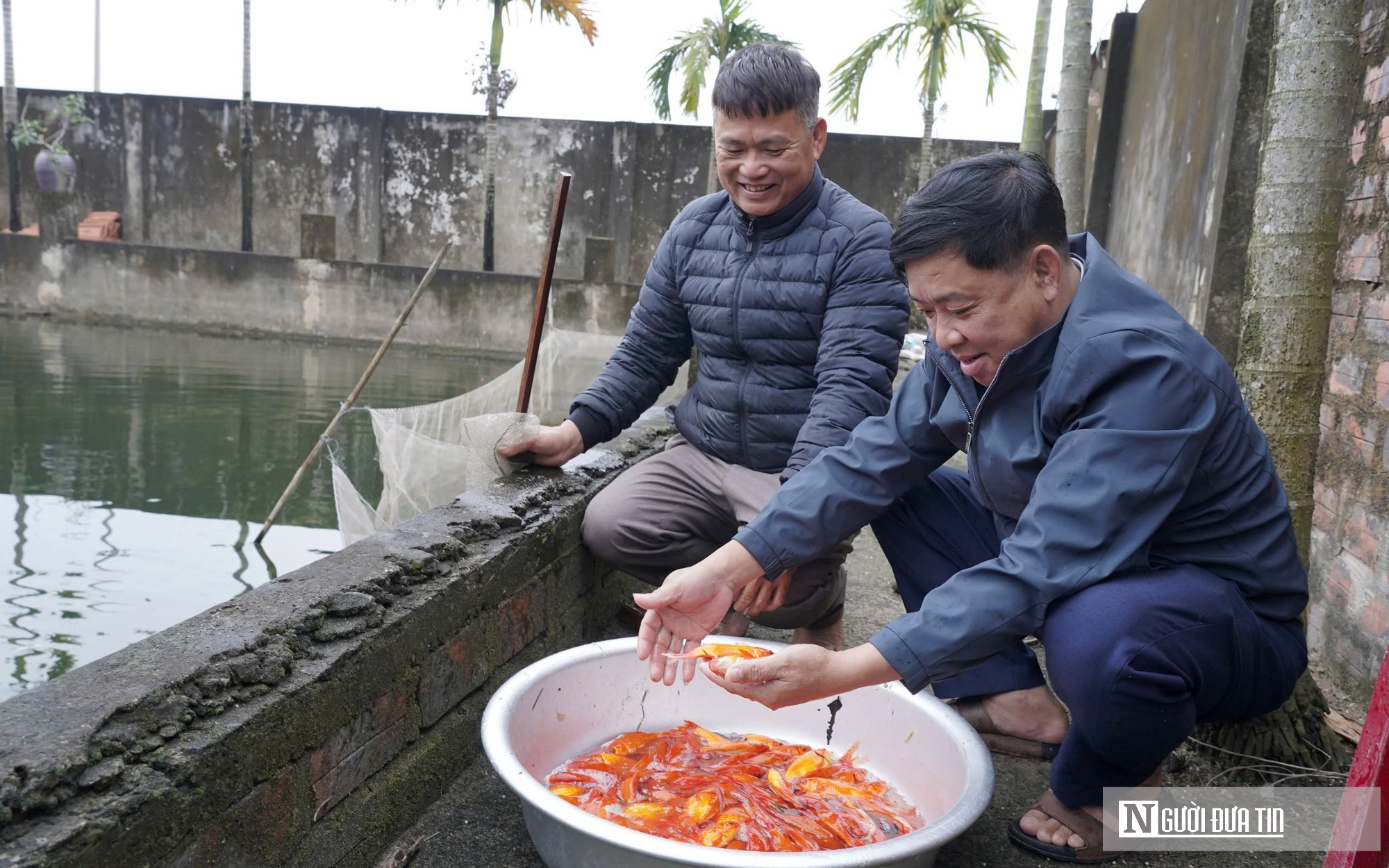 Ninh Châu Nhộn Nhịp Mùa Cá Chép Đỏ Phục Vụ Ông Công, Ông Táo