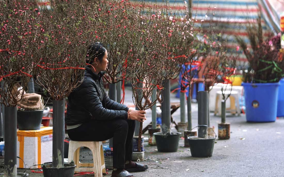 Giá bạc hôm nay 11/2, giá bạc trong nước giảm, ngược chiều với bạc thế giới- Ảnh 1.