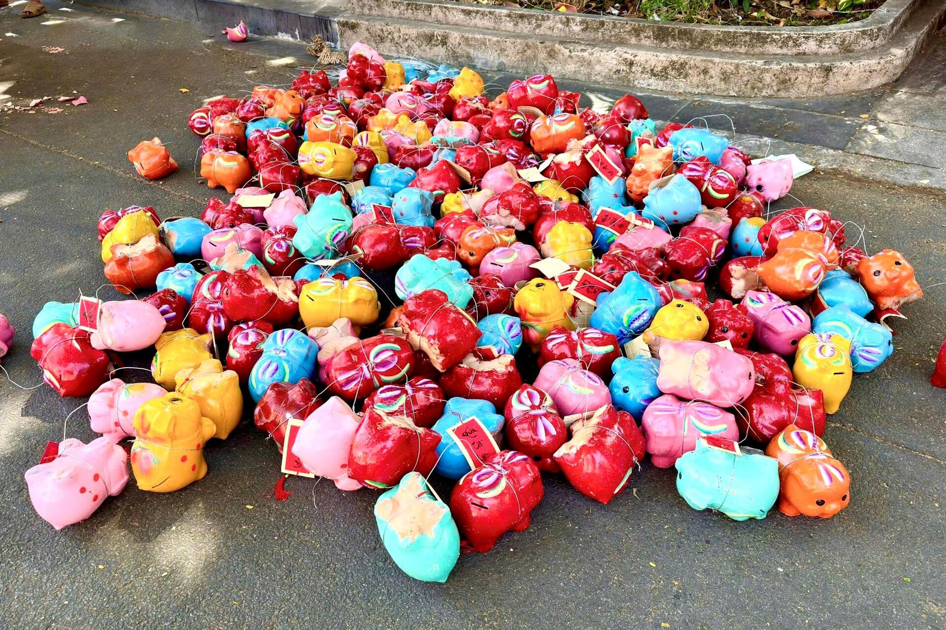 "Đường heo đất" rực rỡ sắc Xuân - Ảnh 7.