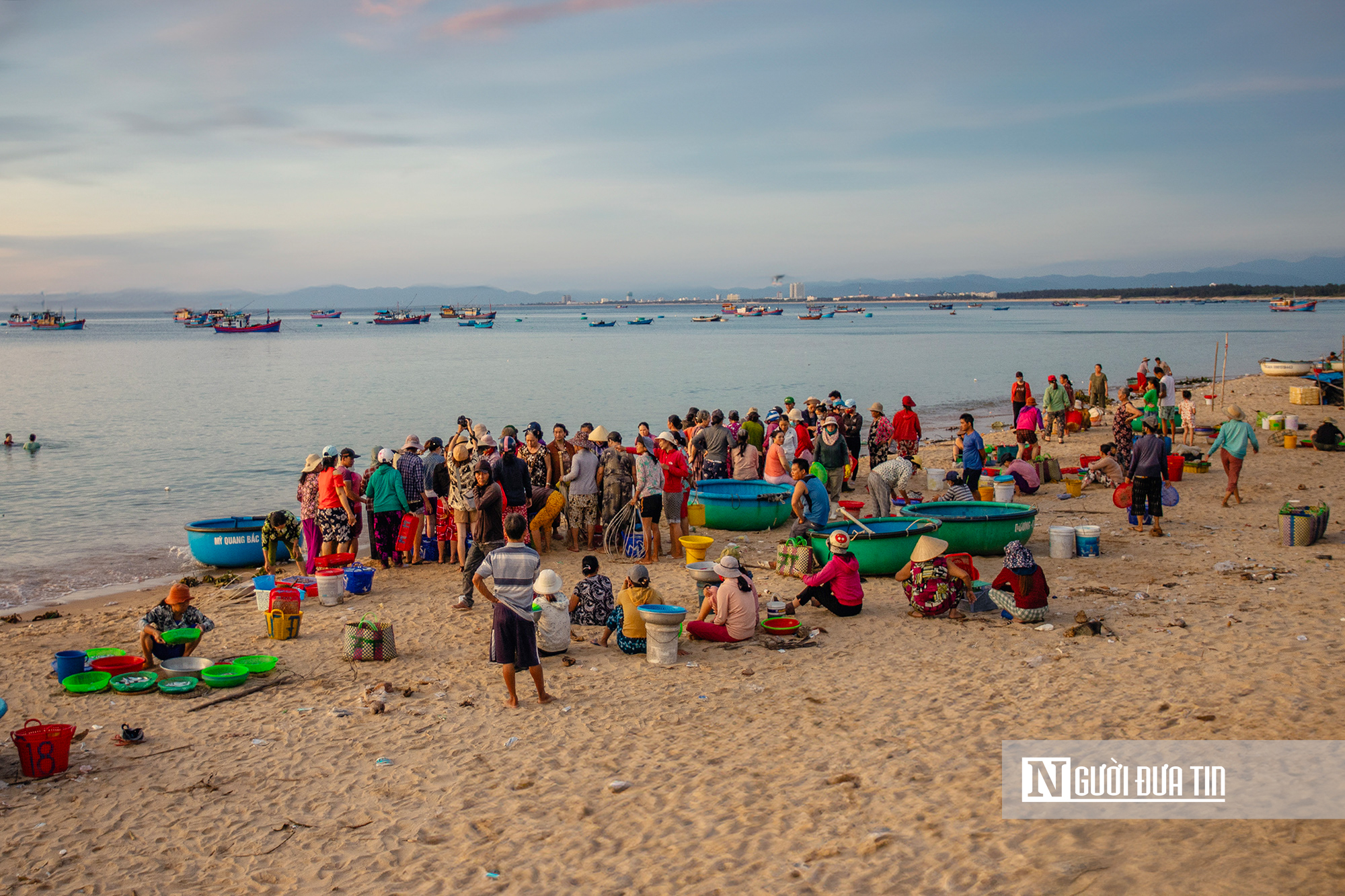Trong đ&egrave;n c&acirc;u mực xuy&ecirc;n đ&ecirc;m, ngư d&acirc;n Đắk Lắk thu tiền triệu đồng- Ảnh 3.
