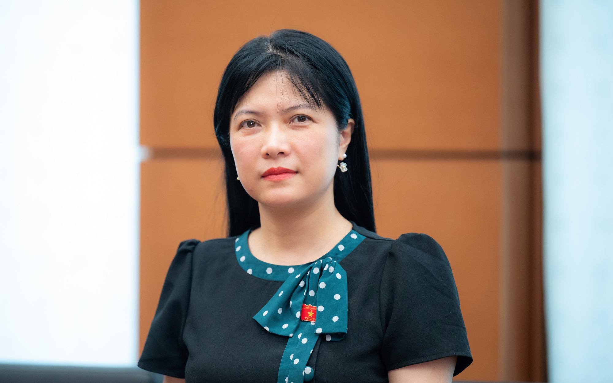 Bầu cử Quốc hội khóa XVI: Nhiều điểm mới và yêu cầu chất lượng đại biểu