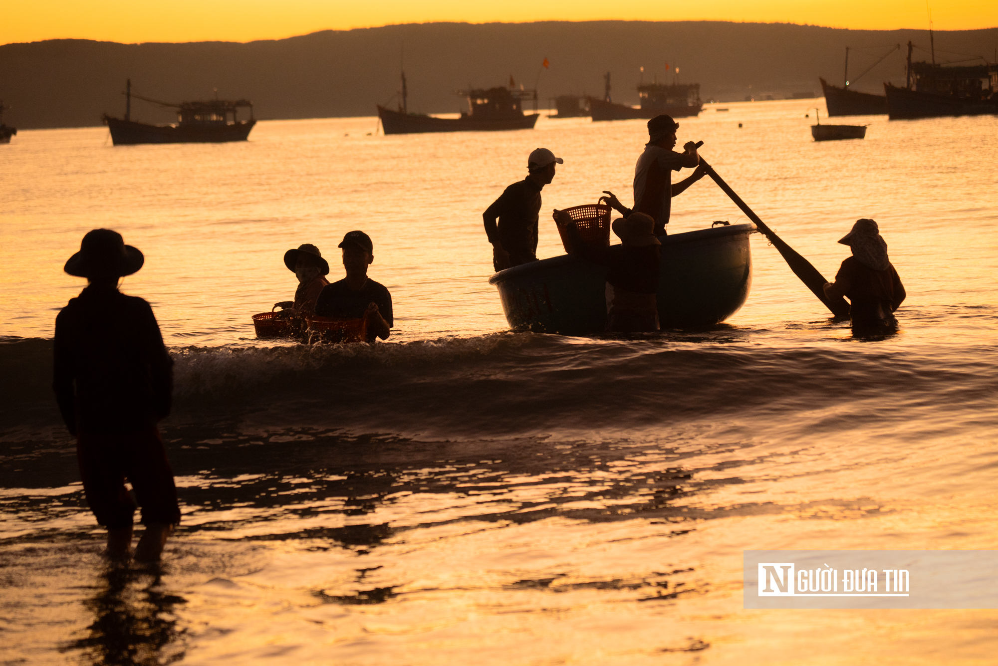 Trong đ&egrave;n c&acirc;u mực xuy&ecirc;n đ&ecirc;m, ngư d&acirc;n Đắk Lắk thu tiền triệu đồng- Ảnh 6.