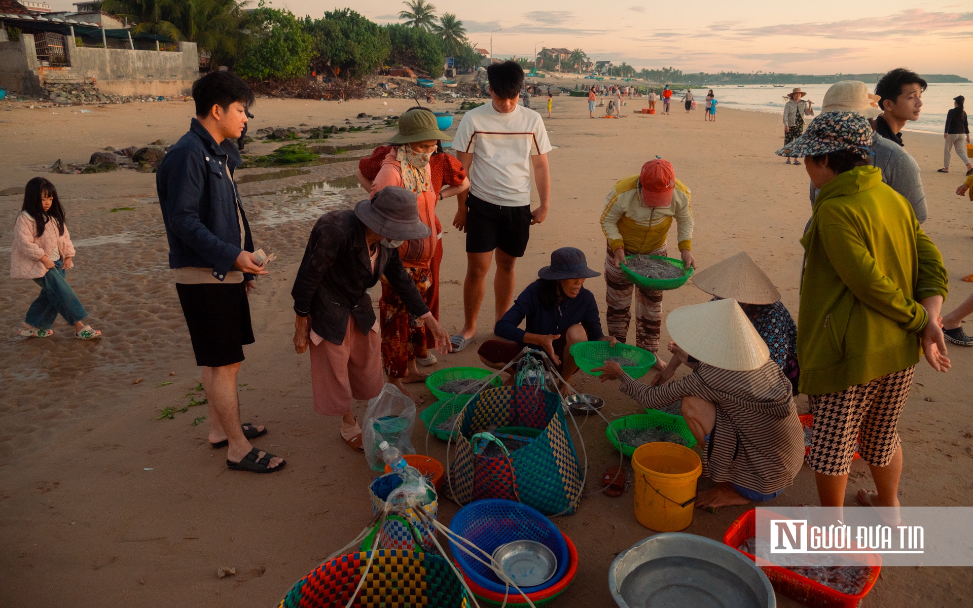 Chợ cá Mỹ Quang nhộn nhịp trước bình minh, ngư dân trúng mùa mực và cá cơm