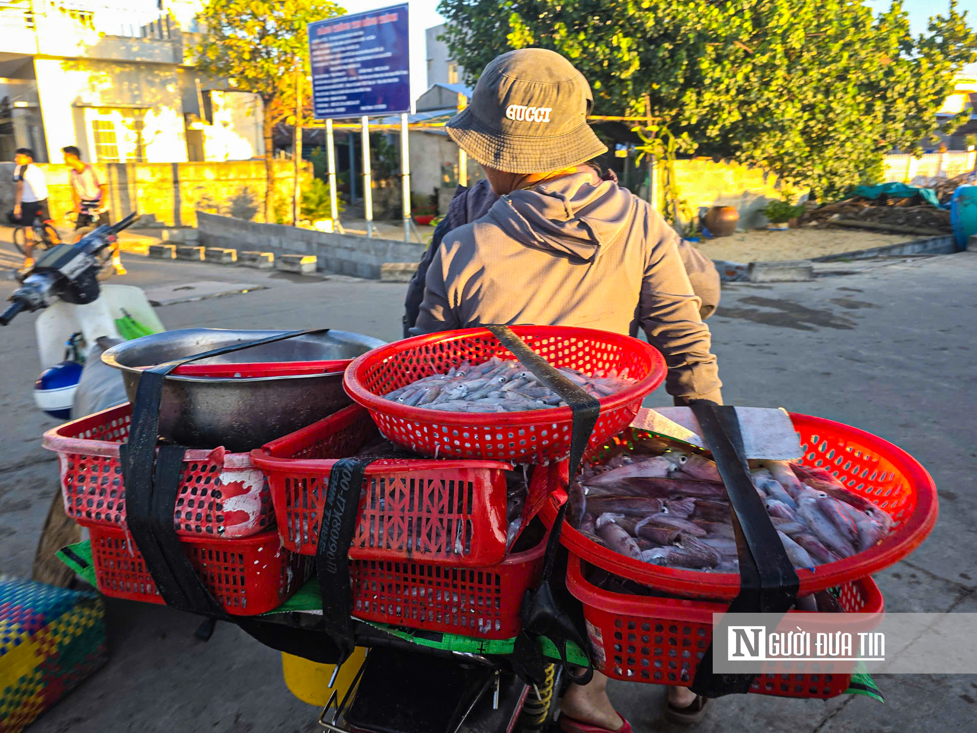 Trong đ&egrave;n c&acirc;u mực xuy&ecirc;n đ&ecirc;m, ngư d&acirc;n Đắk Lắk thu tiền triệu đồng- Ảnh 14.