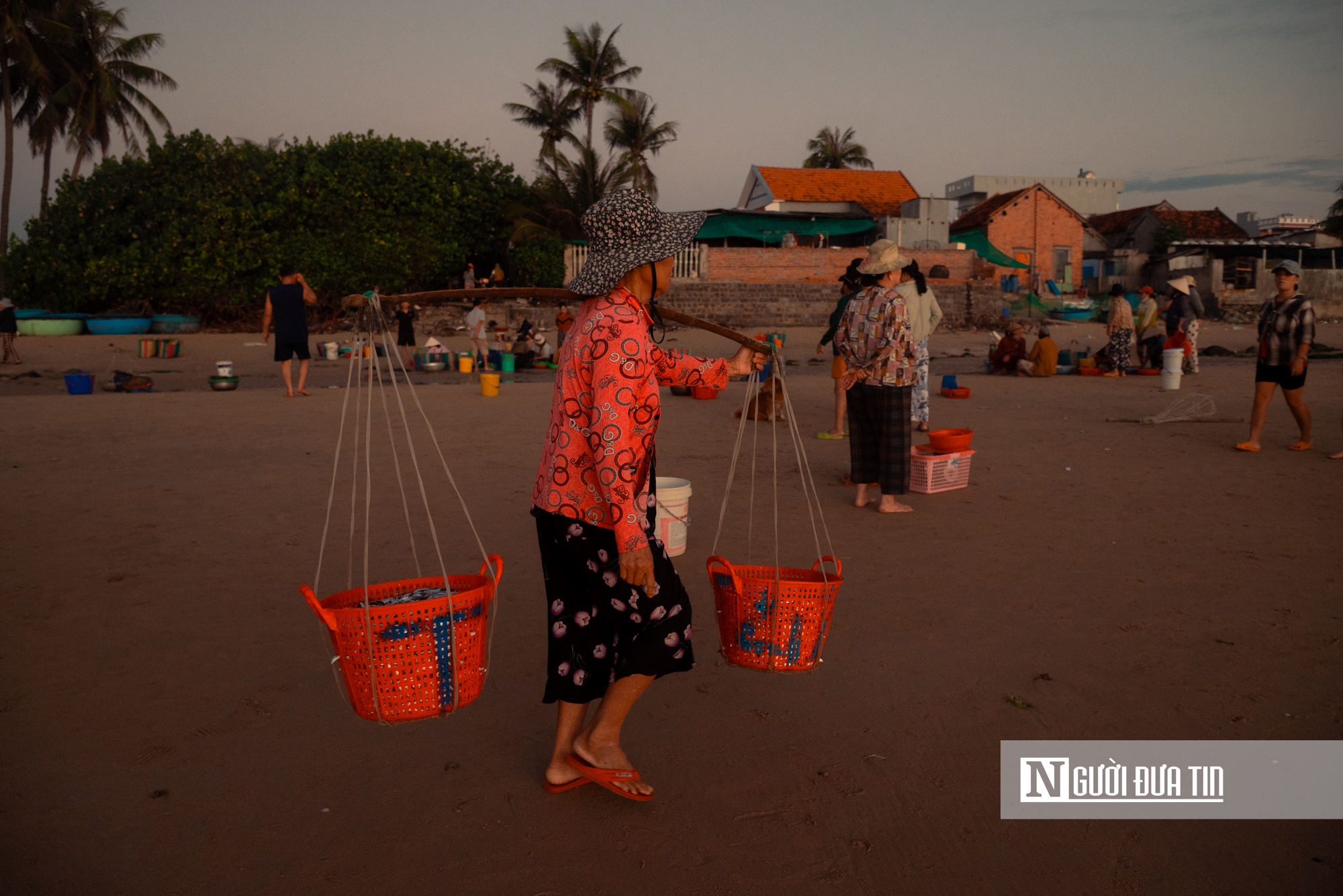 Trong đ&egrave;n c&acirc;u mực xuy&ecirc;n đ&ecirc;m, ngư d&acirc;n Đắk Lắk thu tiền triệu đồng- Ảnh 16.