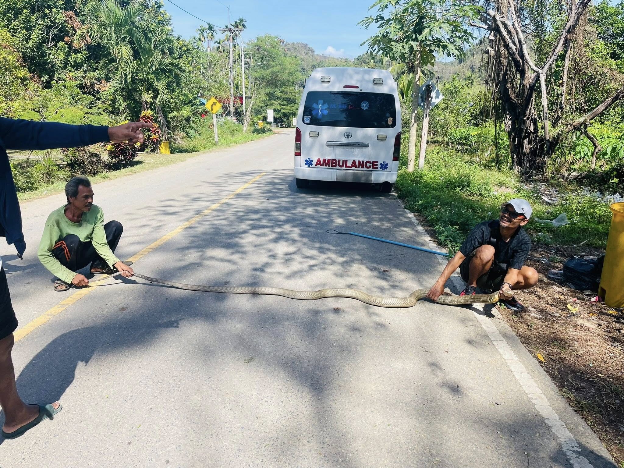 Bắt sống rắn hổ mang chúa dài 4 mét ẩn nấp trong gầm giường nhà dân- Ảnh 2.