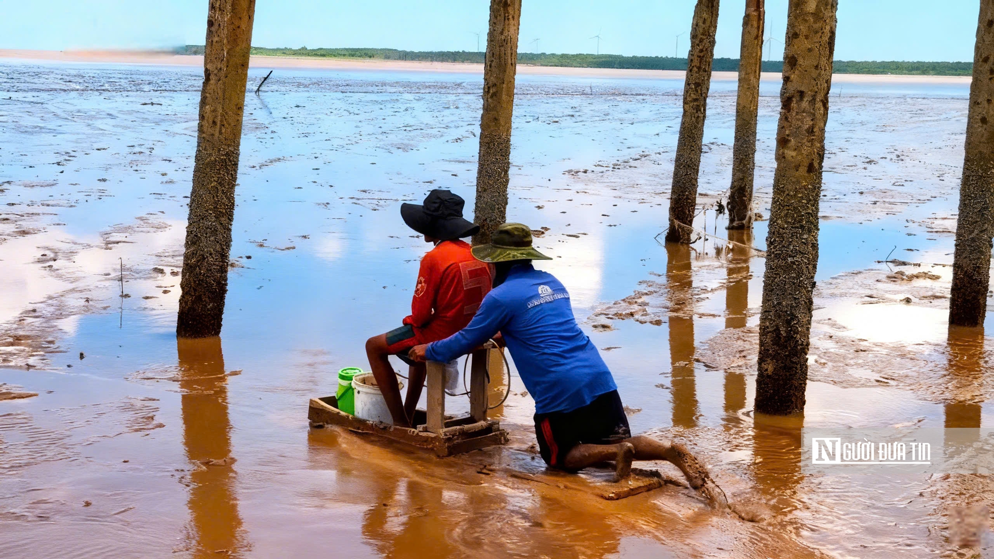 Độc đáo nghề “chạy mong” trên bãi bồi ven biển Mỏ Ó- Ảnh 6.