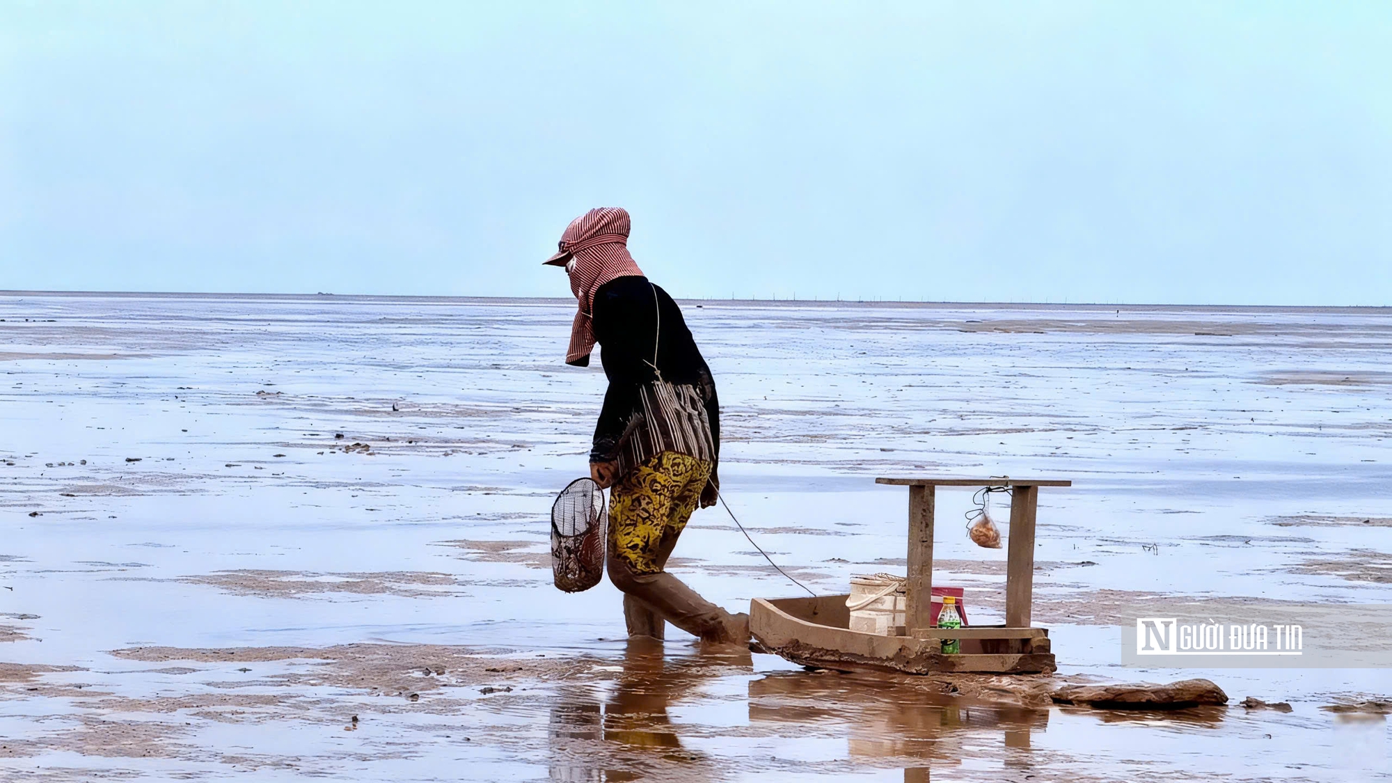 Độc đáo nghề “chạy mong” trên bãi bồi ven biển Mỏ Ó- Ảnh 7.