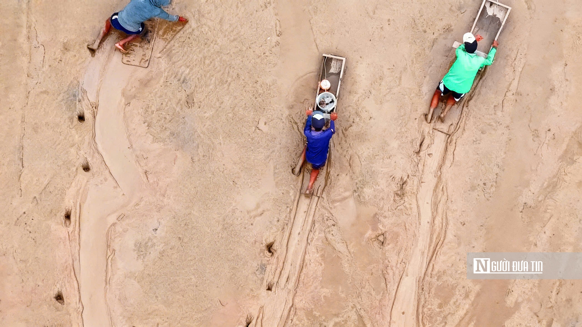 Độc đáo nghề “chạy mong” trên bãi bồi ven biển Mỏ Ó- Ảnh 9.