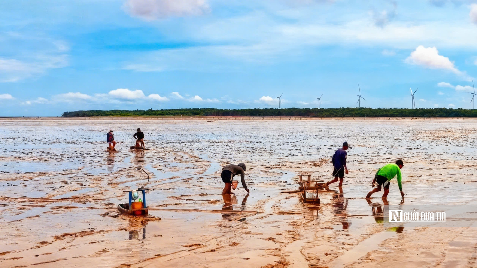 Độc đáo nghề “chạy mong” trên bãi bồi ven biển Mỏ Ó- Ảnh 10.