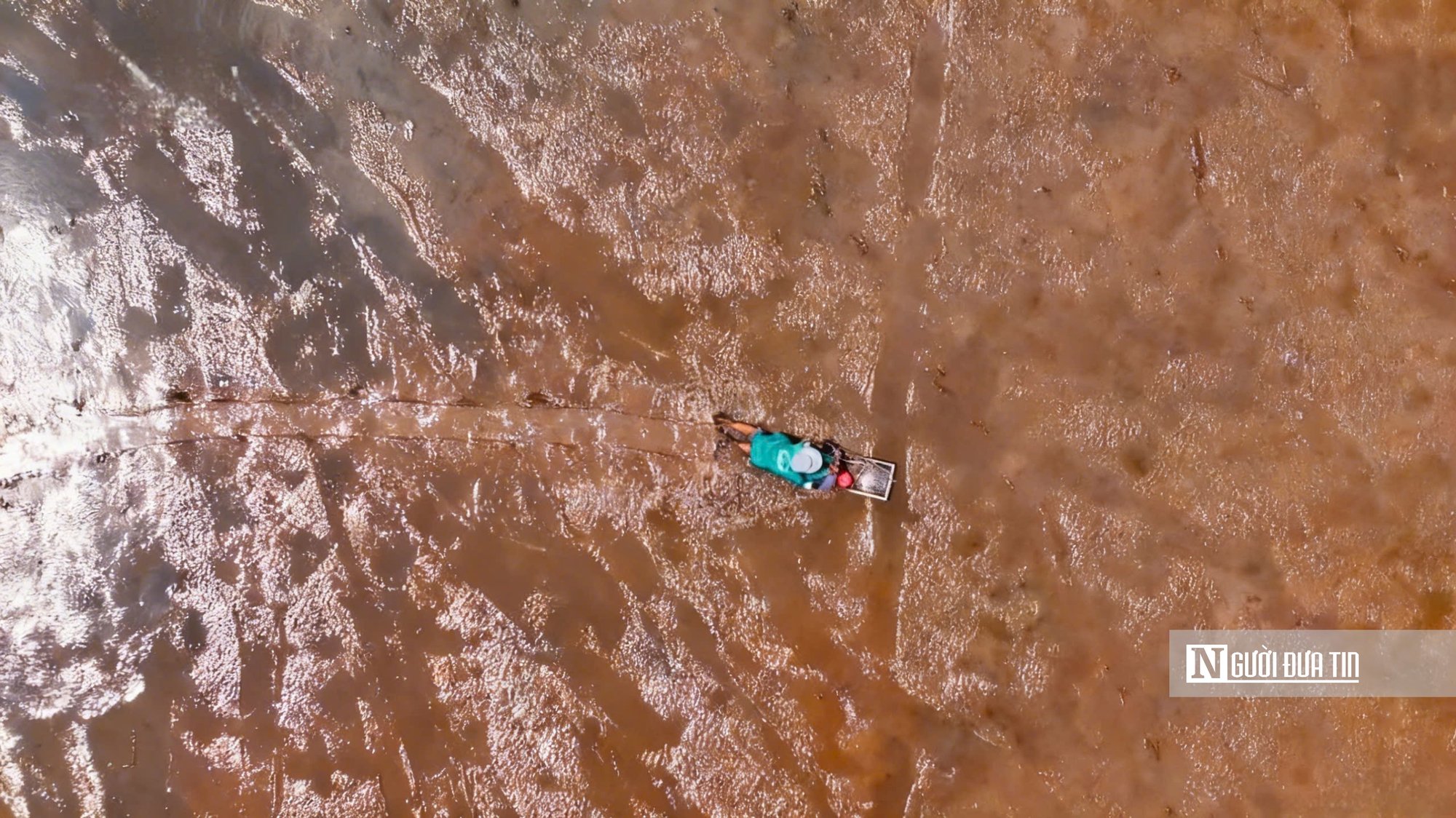 Độc đáo nghề “chạy mong” trên bãi bồi ven biển Mỏ Ó- Ảnh 14.