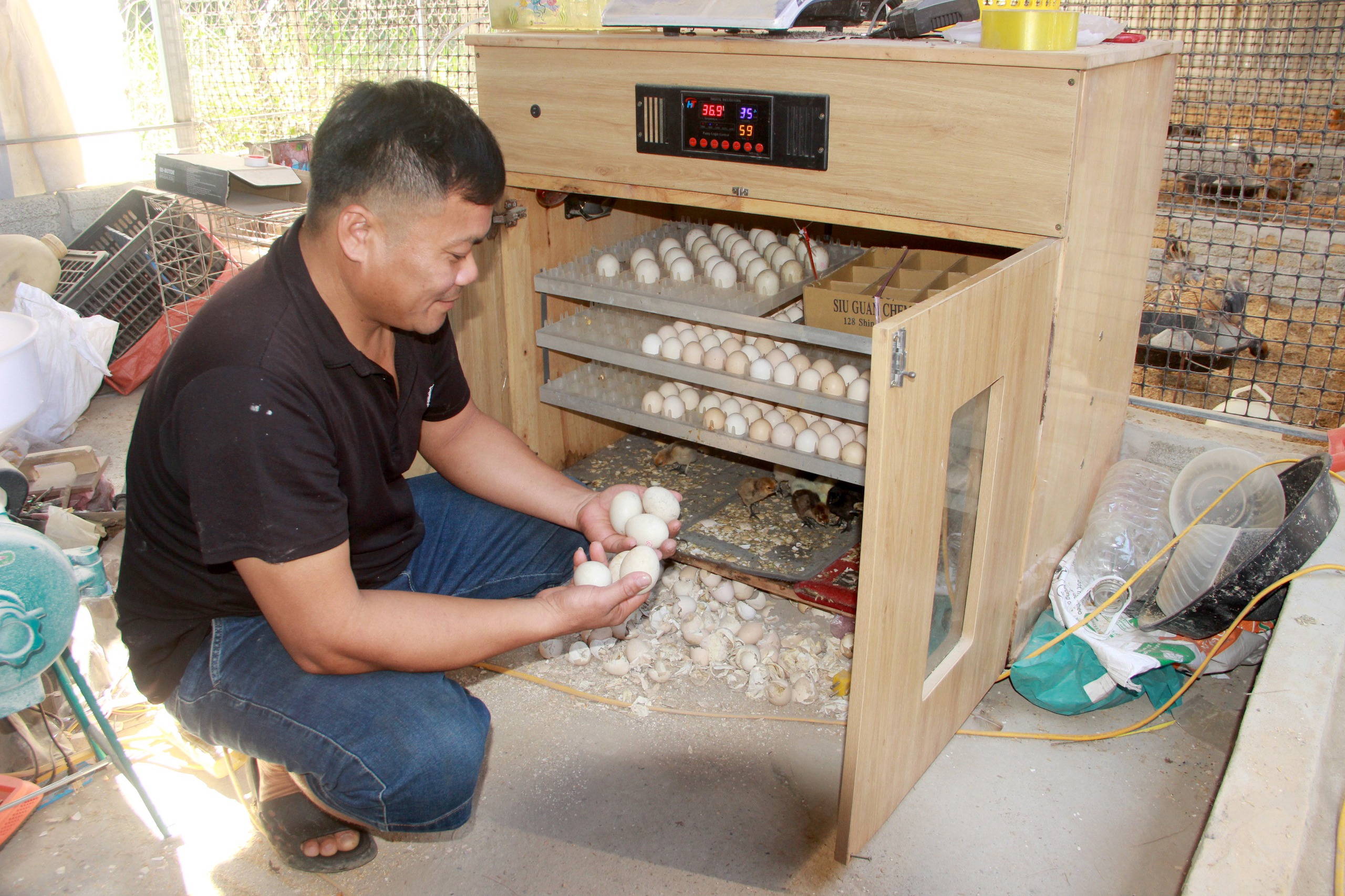 Anh nông dân xứ Nghệ nuôi loài gà có tên đáng sợ, bỏ túi hàng trăm triệu đồng/năm - Ảnh 2.