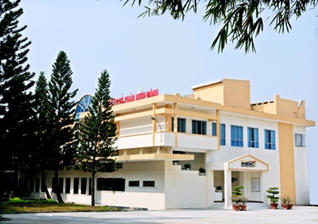 Điều gì giúp cổ phiếu MDG rời “vùng cảnh báo” trên HoSE? - Ảnh 1.