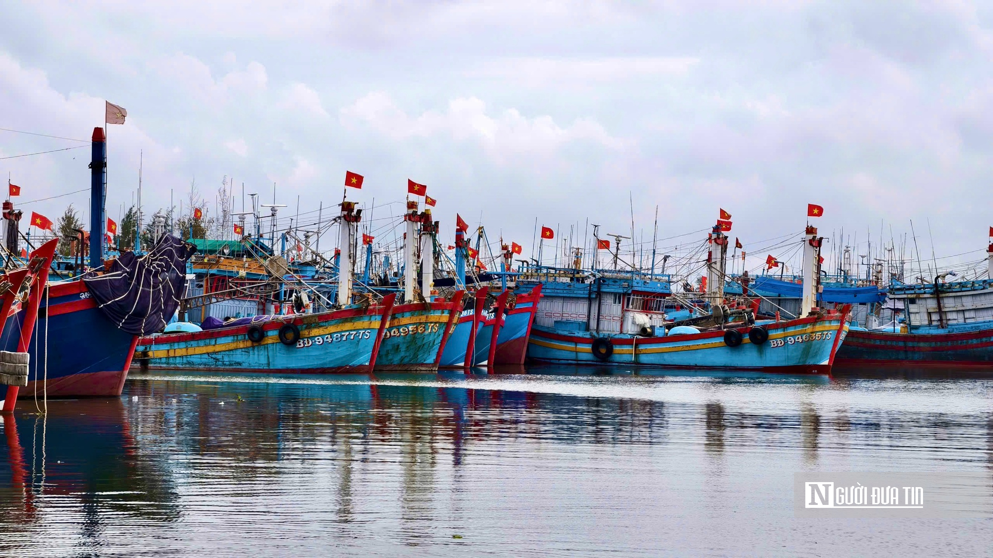 Giá dầu leo thang, cá mất giá, nhiều tàu cá Quảng Ngãi cân nhắc chuyến ra khơi- Ảnh 1.