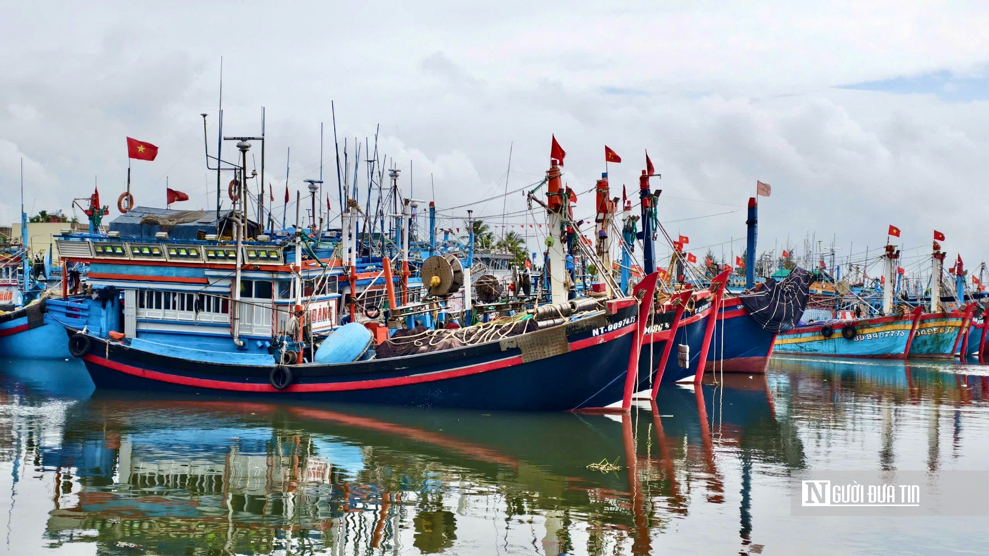 Giá dầu leo thang, cá mất giá, nhiều tàu cá Quảng Ngãi cân nhắc chuyến ra khơi- Ảnh 2.