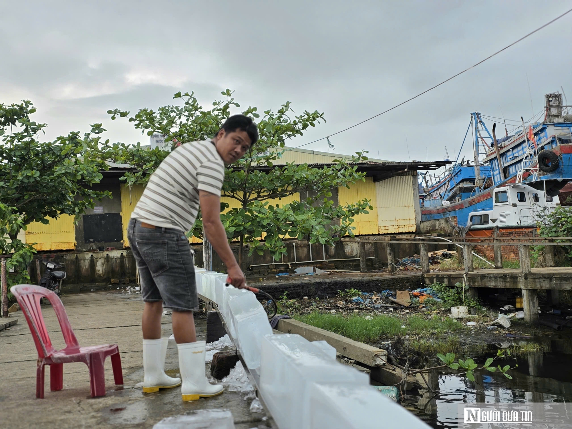 Dầu tăng giá, ngư dân neo bờ chưa dám vươn khơi vì lo thua lỗ- Ảnh 1.