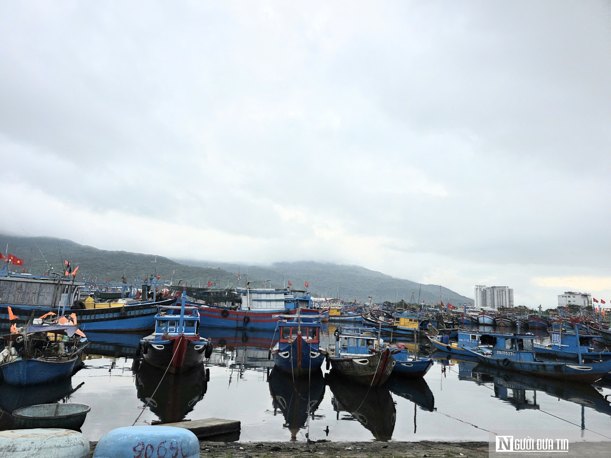 Dầu tăng giá, ngư dân neo bờ chưa dám vươn khơi vì lo thua lỗ- Ảnh 4.