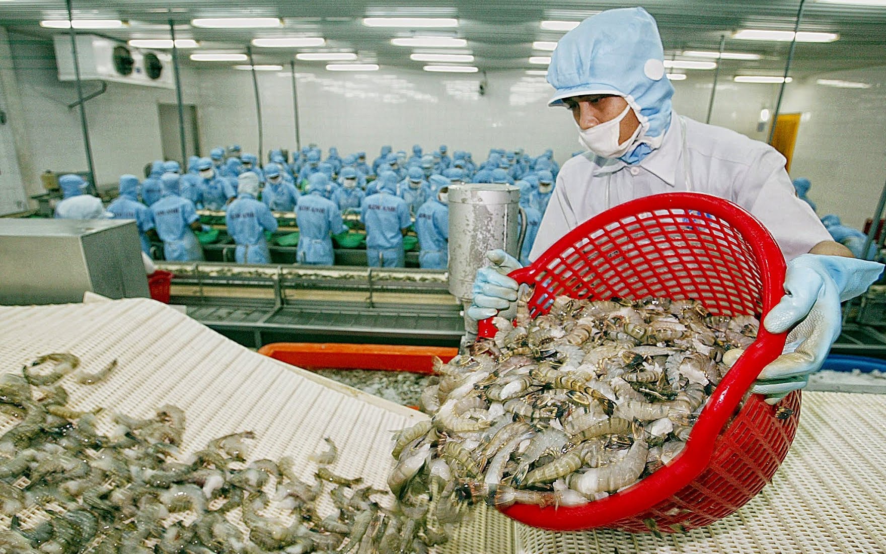 Xuất khẩu thủy sản Việt Nam tháng 2/2026 đạt 707 triệu USD, tăng 8% so với cùng kỳ