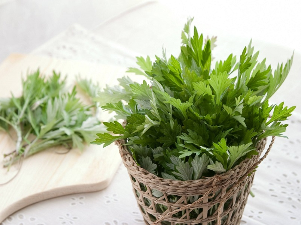 Ăn 1 nắm rau này tốt ngang thịt, xưa gọi rau nhà nghèo nay ví như “vua thảo mộc" - Ảnh 1.